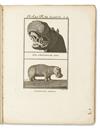 TRAVEL  LEVAILLANT, FRANÇOIS. Premier [Second] Voyage . . . dans lIntérieur de lAfrique.  5 vols. plus atlas.  1819; 1805; 1818